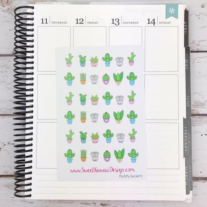 Kawaii Succulent Stickers